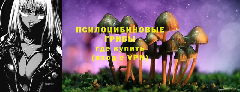 Галлюциногенные грибы Magic Shrooms  ОМГ ОМГ tor  Межгорье  купить наркотик 